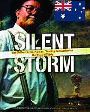 Silent Storm poster